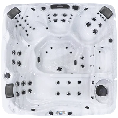 Avalon EC-867L hot tubs for sale in Lake Havasu City